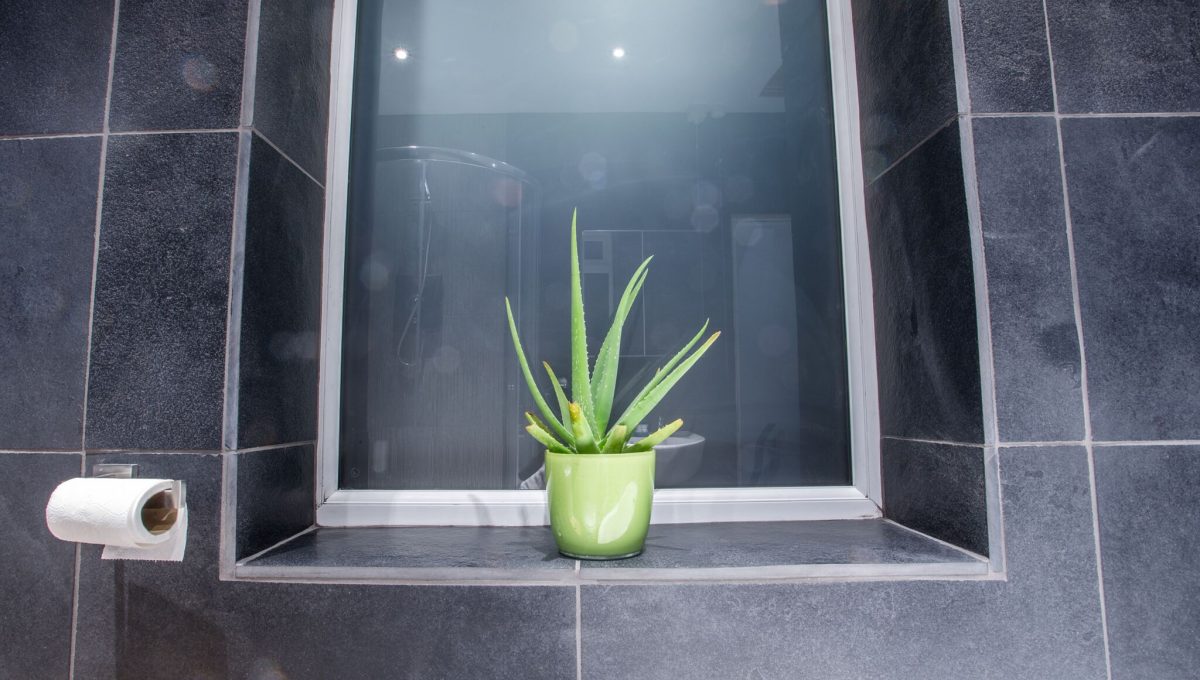 Bath 3_plant